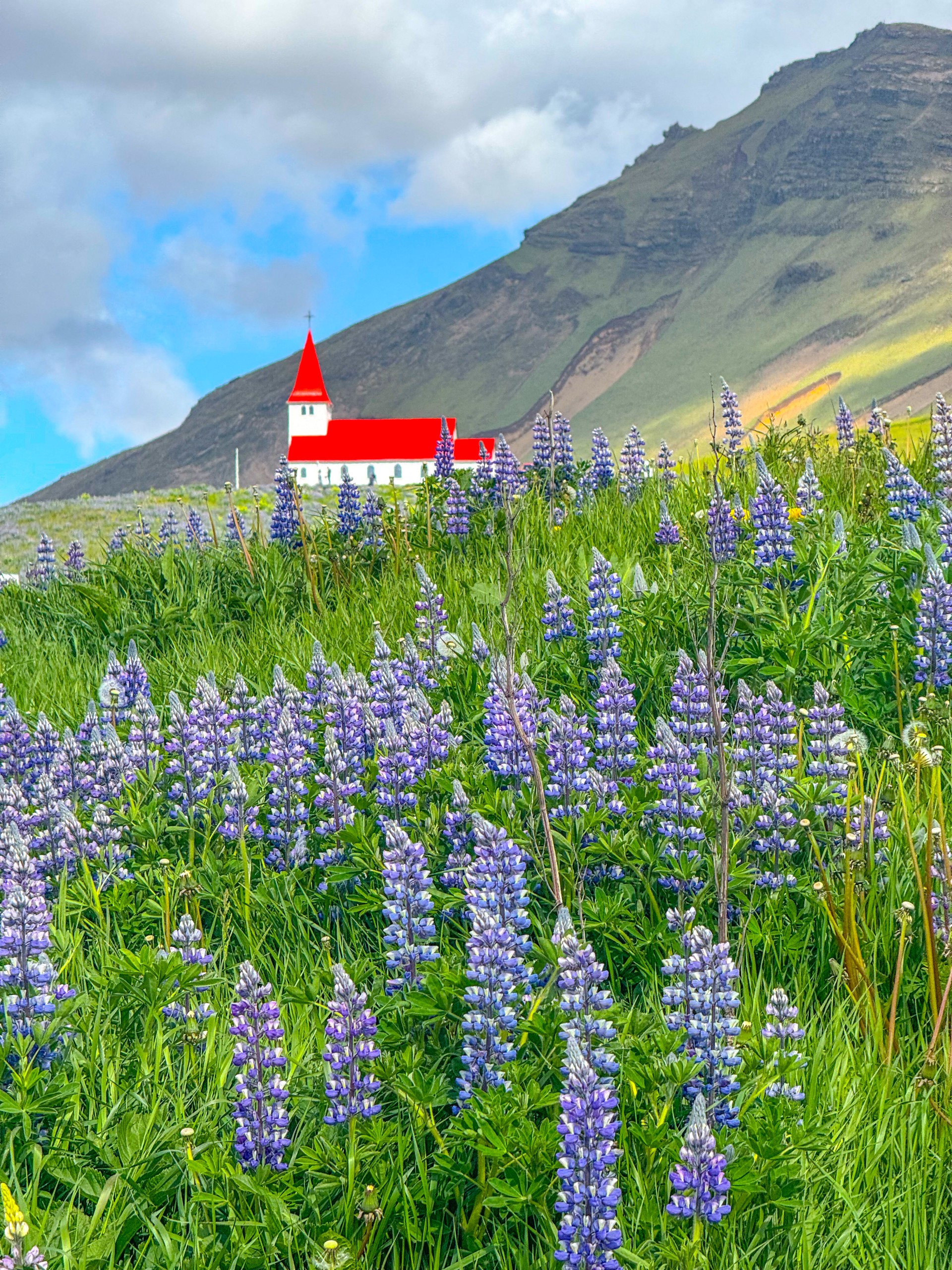 Prywatna wycieczka z przewodnikiem po Islandii półwysep Reykjanes